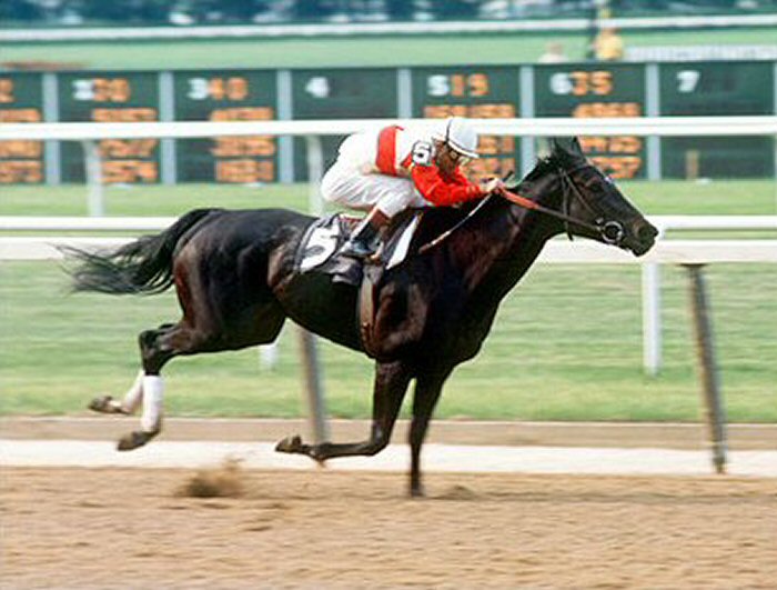 Ruffian una yegua inolvidable