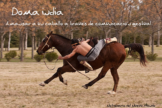 Fundamentos de la Doma India