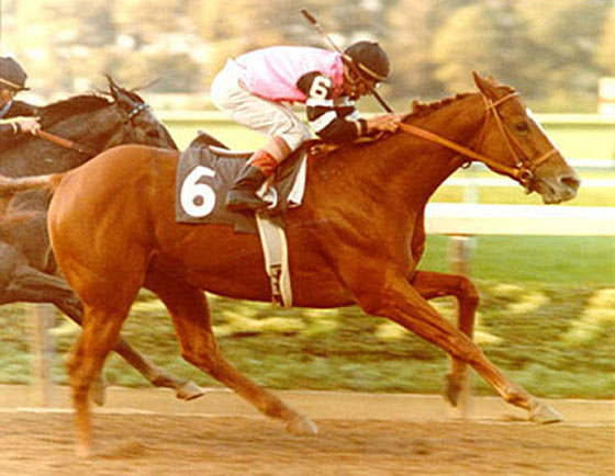 Affirmed el caballo triple coronado de Estados Unidos