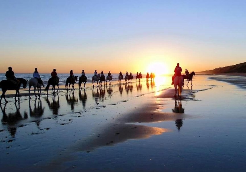 Regiones ideales para pasear con tu caballo en España