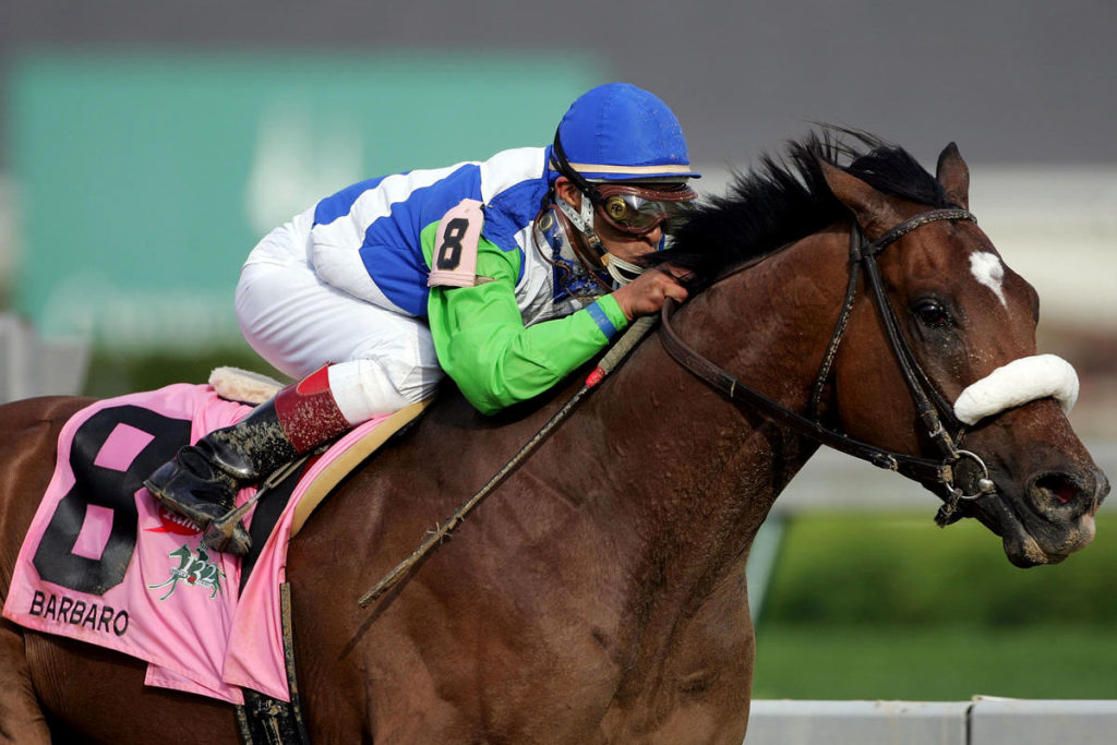 El gran caballo Bárbaro