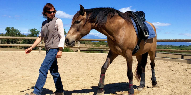 Equitación Etológica en acción