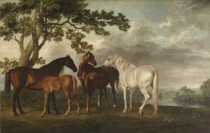 Pintura-George Stubbs -Gustavo Mirabal-Arte