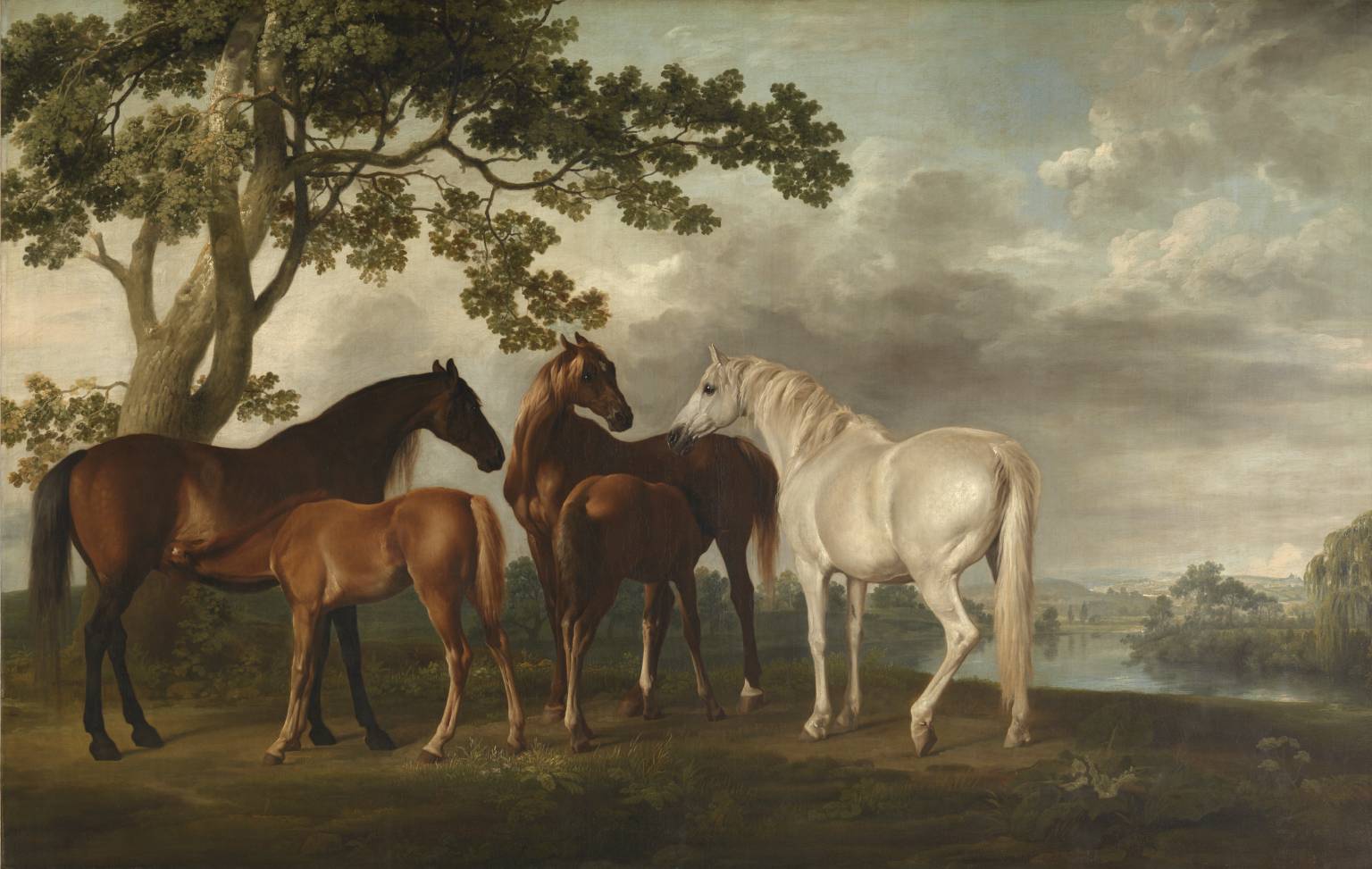 George Stubbs