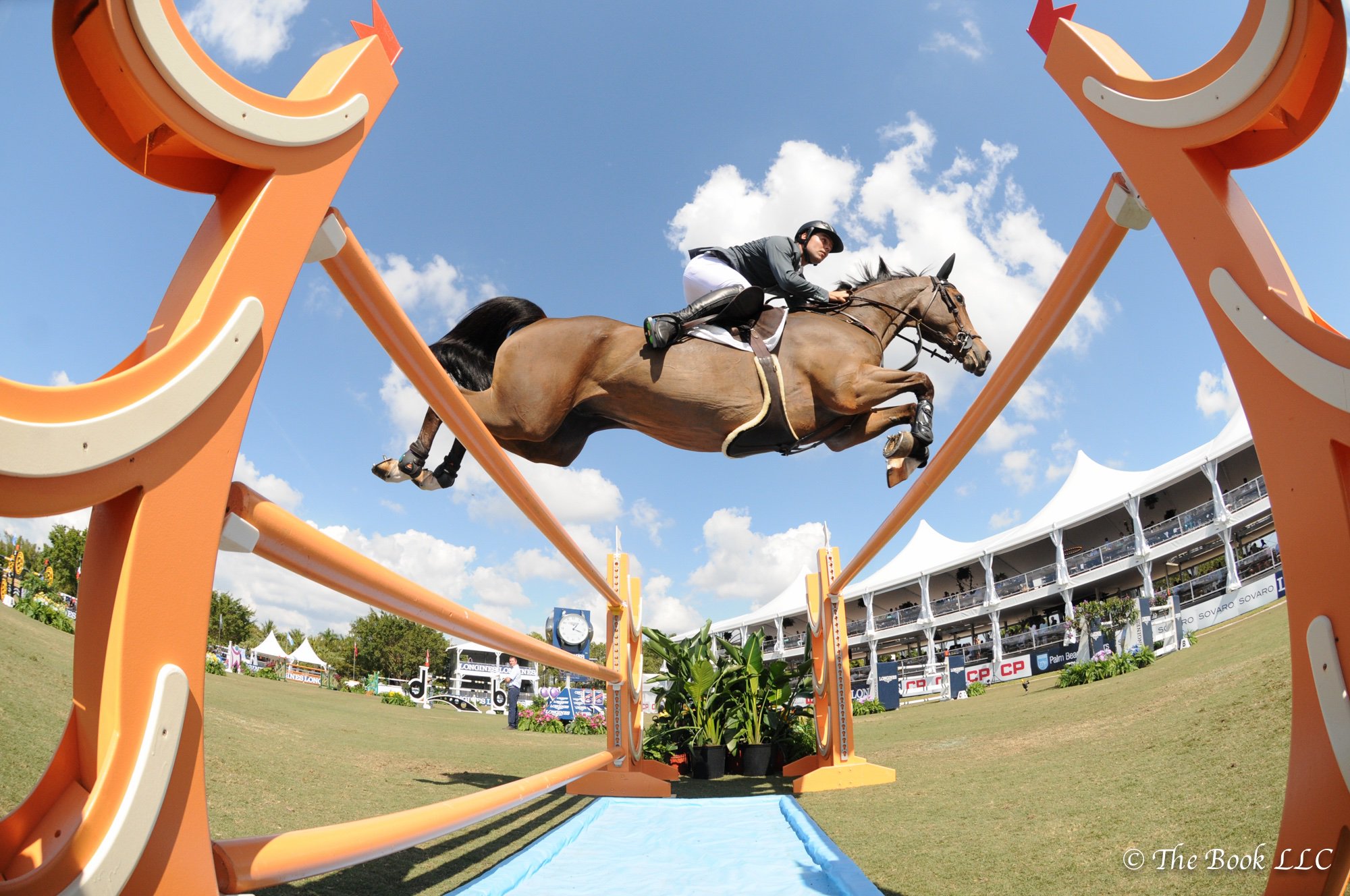 La marca Gustavo Mirabal Castro