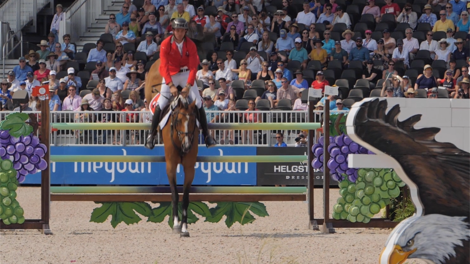 Campeonato Mundial de Saltos Ecuestres