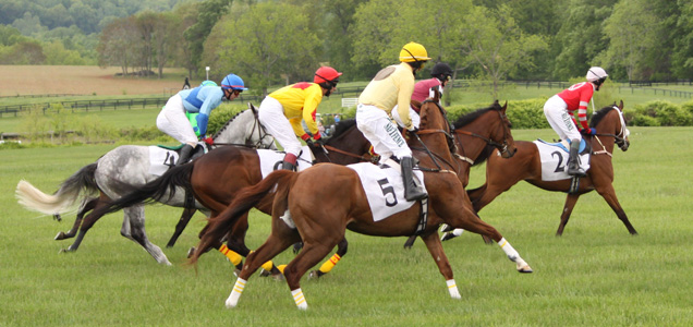Carreras e Hipódromo de longchamp