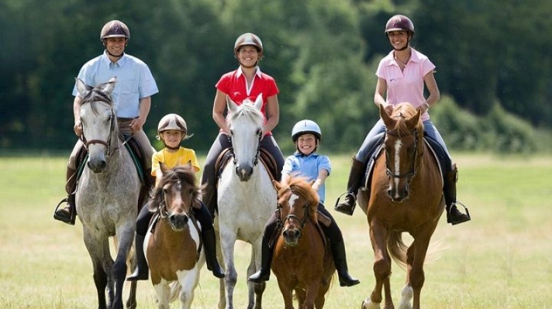 Entrenamiento para equitación