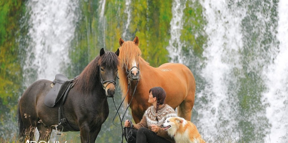 Fotógrafa de Caballos Gabriele Boiselle Parte II