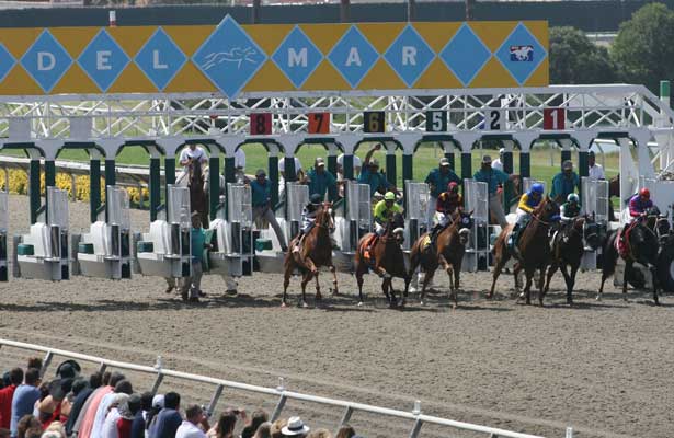 Graduation Stakes