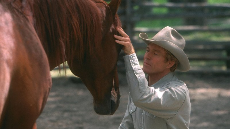 Películas y series ecuestres en Netflix