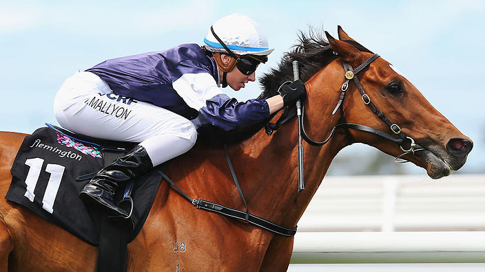 Jinete: el origen de la palabra