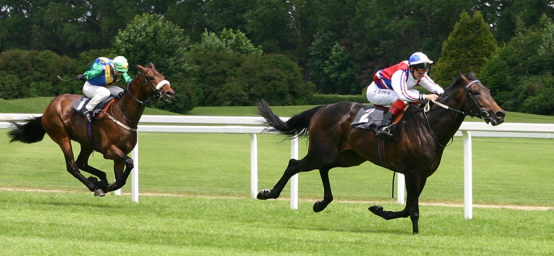 Prix Quincey: carrera de caballos