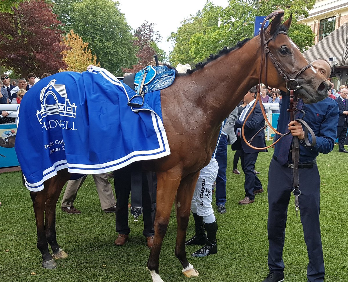 Prix ​​du Calvados: carrera