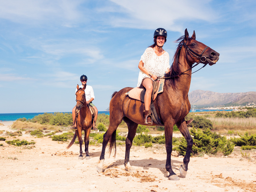 Sector ecuestre y economía parte III