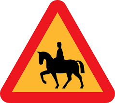 Consejos para el manejo adecuado del caballo (II)