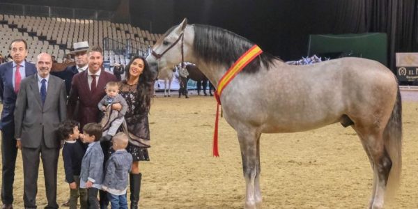 caballo de sergio ramos