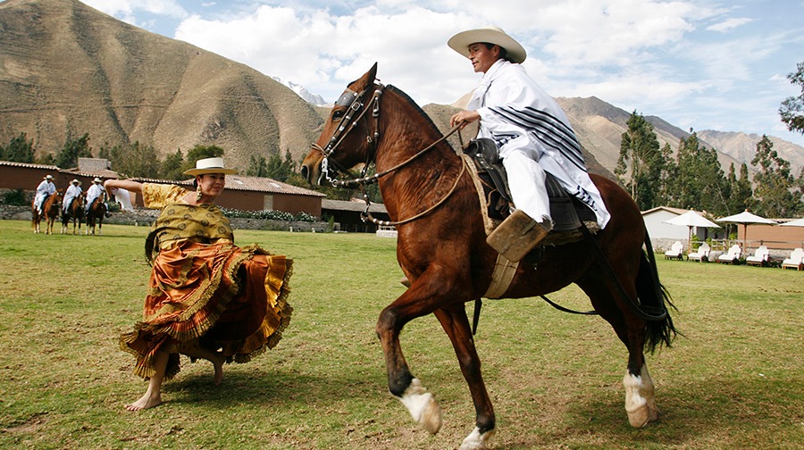 El caballo de paso peruano