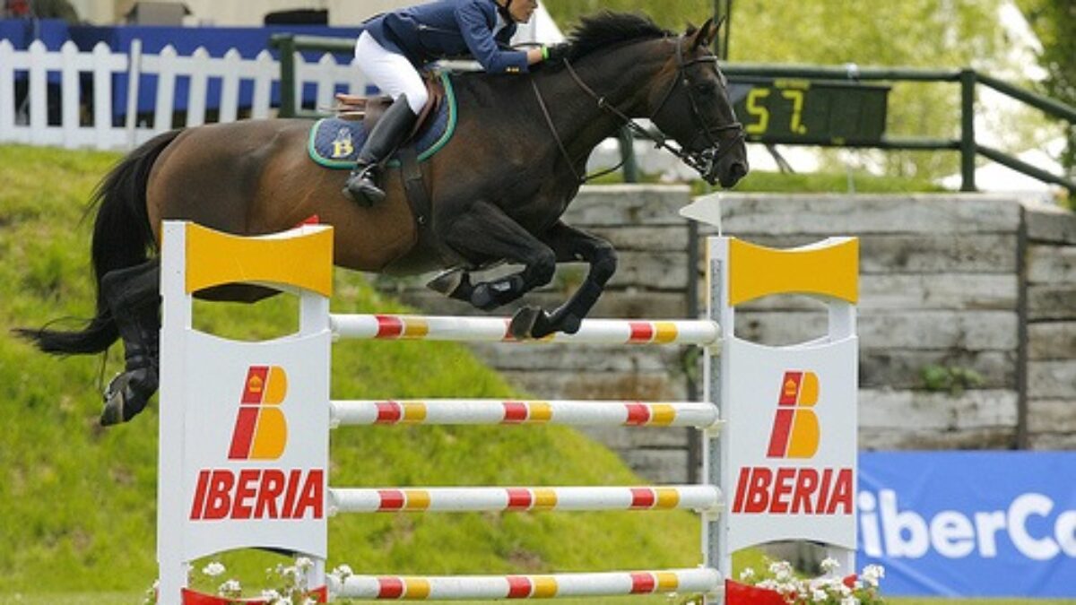 Caballo en competencia