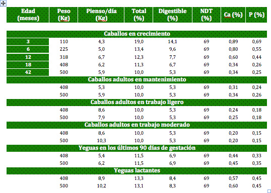 Requerimientos nutricionales del caballo Parte I