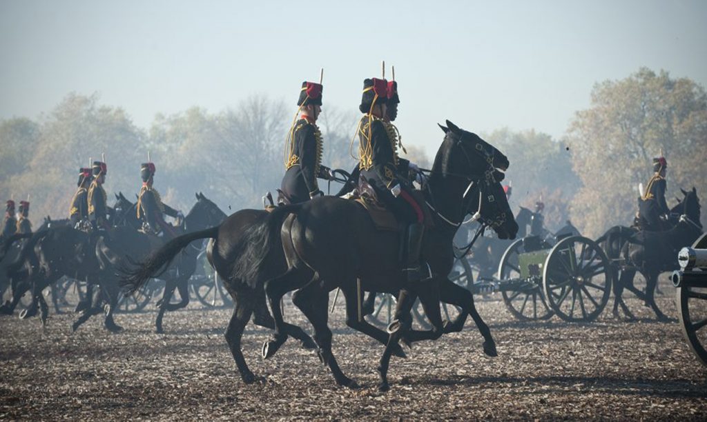 Caballos en la Primera Guerra Mundial