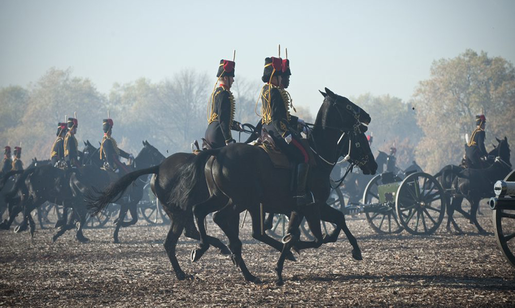 Primera Guerra Mundial y caballos