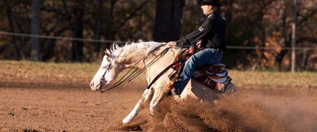 Doma Western