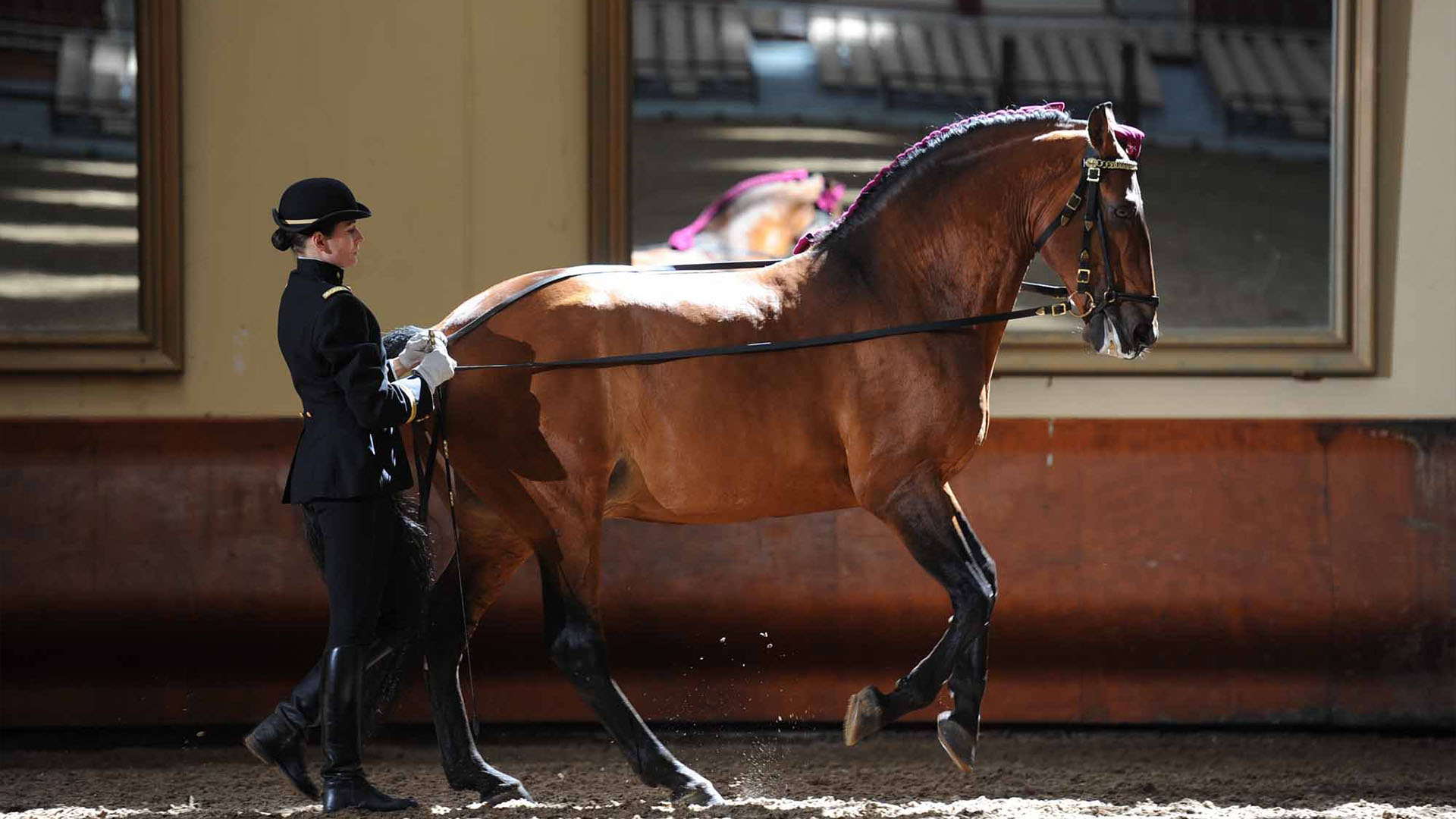 Escuela Nacional de Equitación Cadre Noir de Saumur