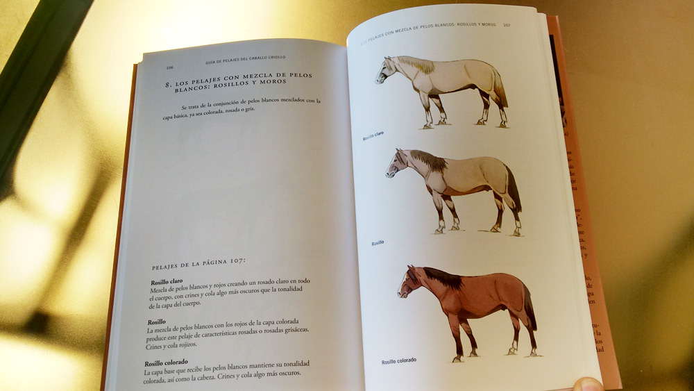 Tipos de pelajes del caballo Parte III
