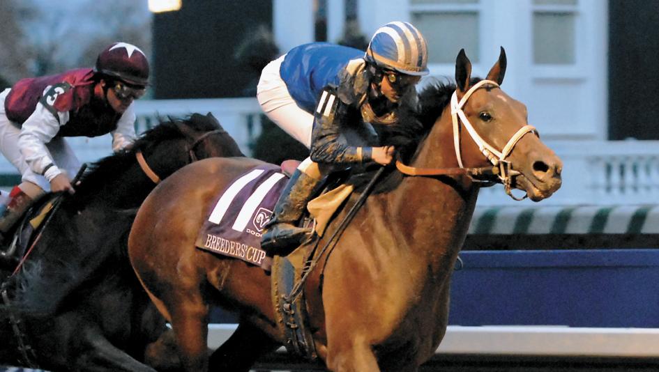 Uruguay un país enamorado de los caballos
