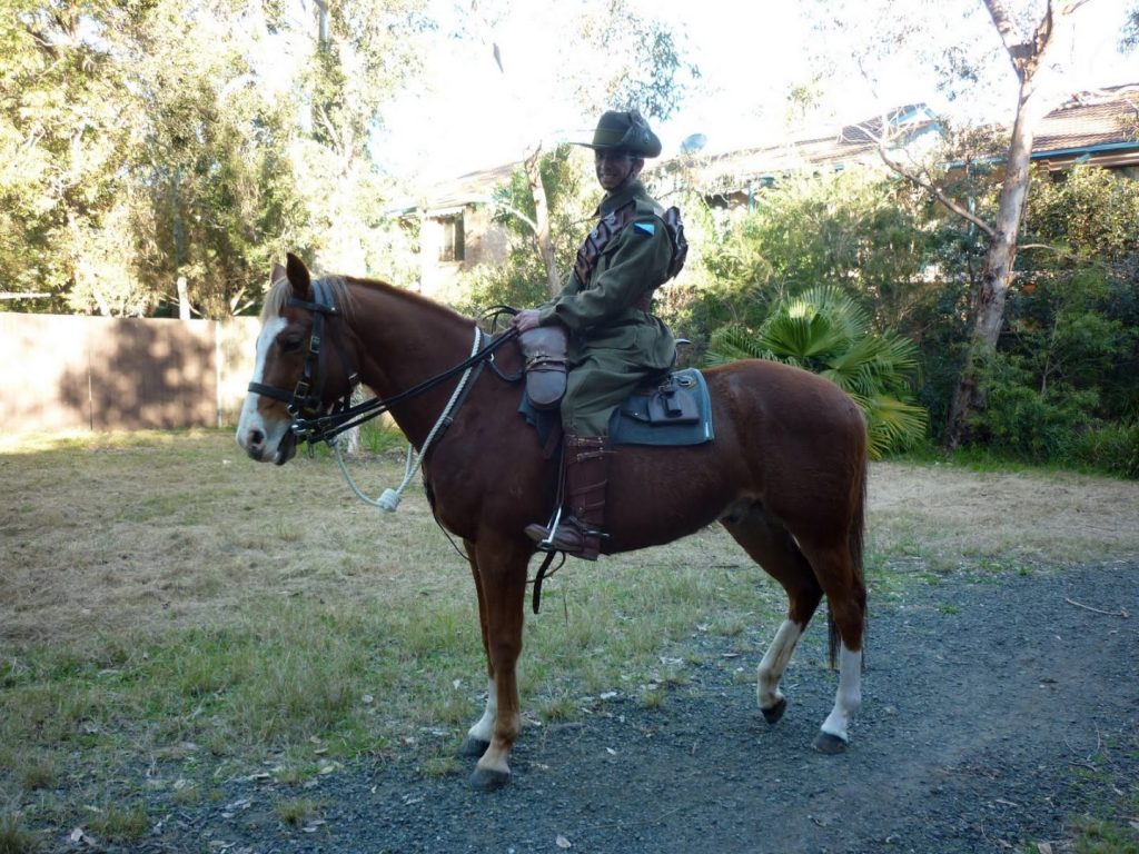 caballo waler