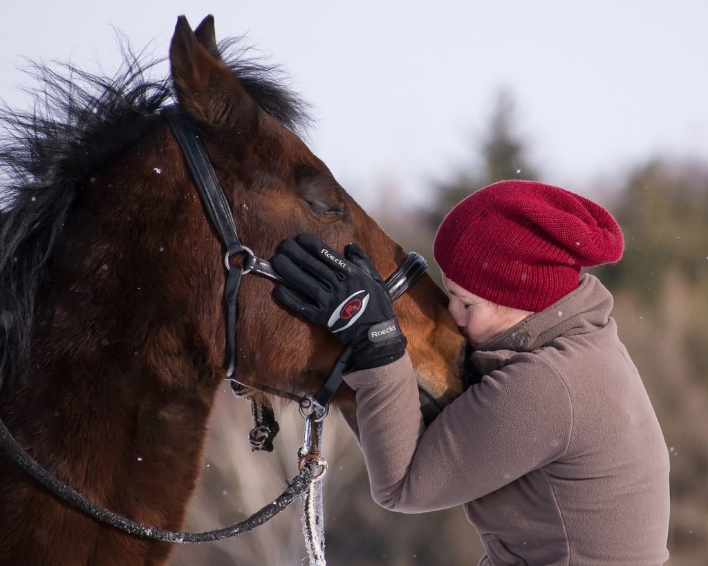 claves para saber si tu caballo te quiere