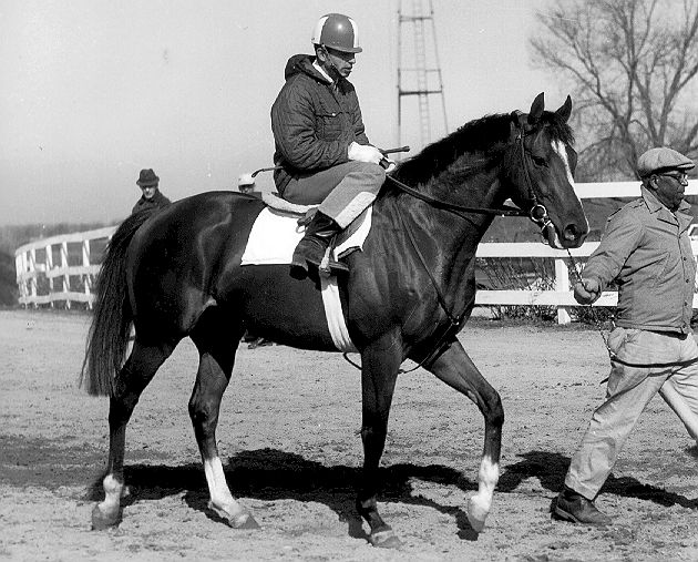 Historia del caballo en el siglo XX