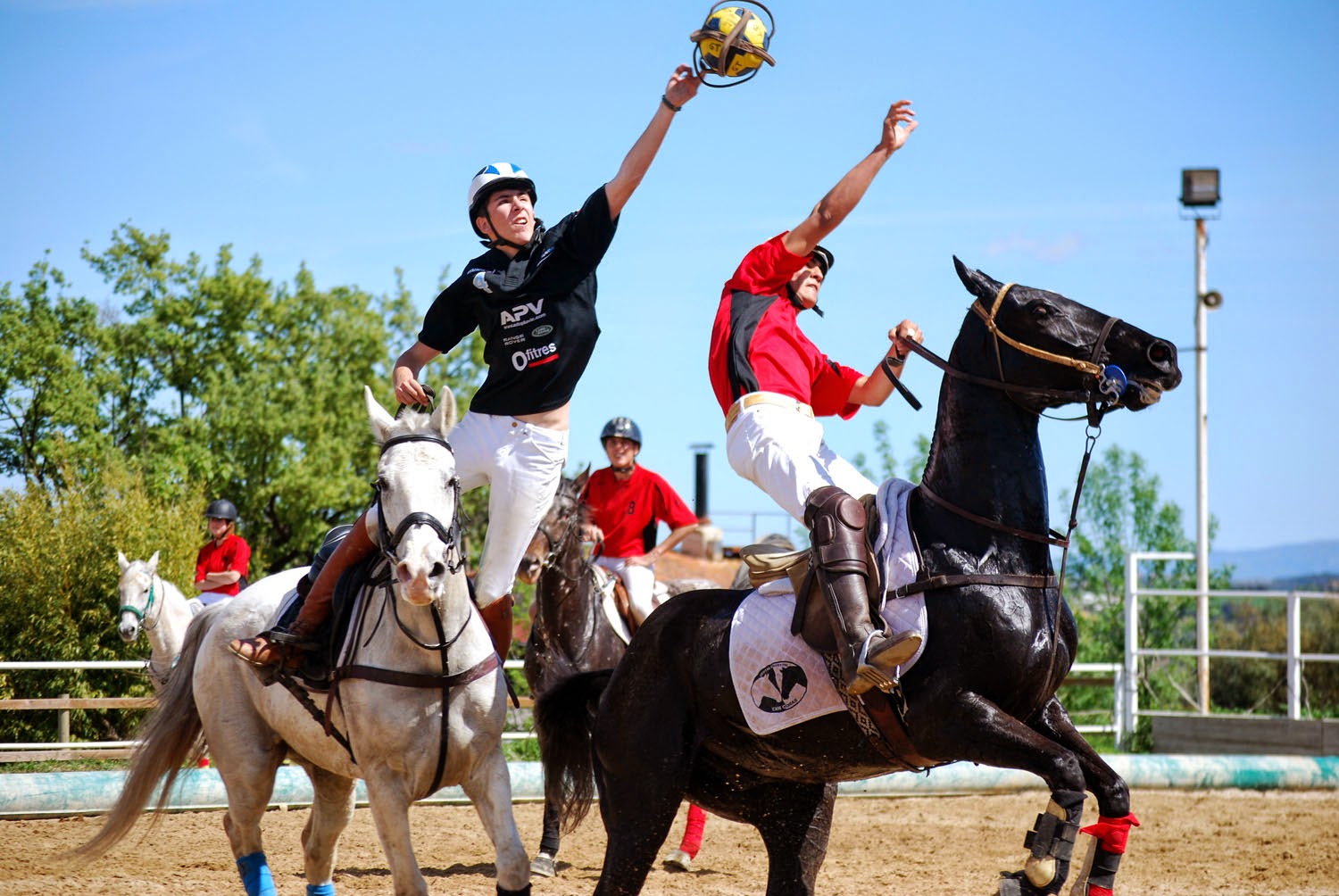 Horseball: deporte ecuestre
