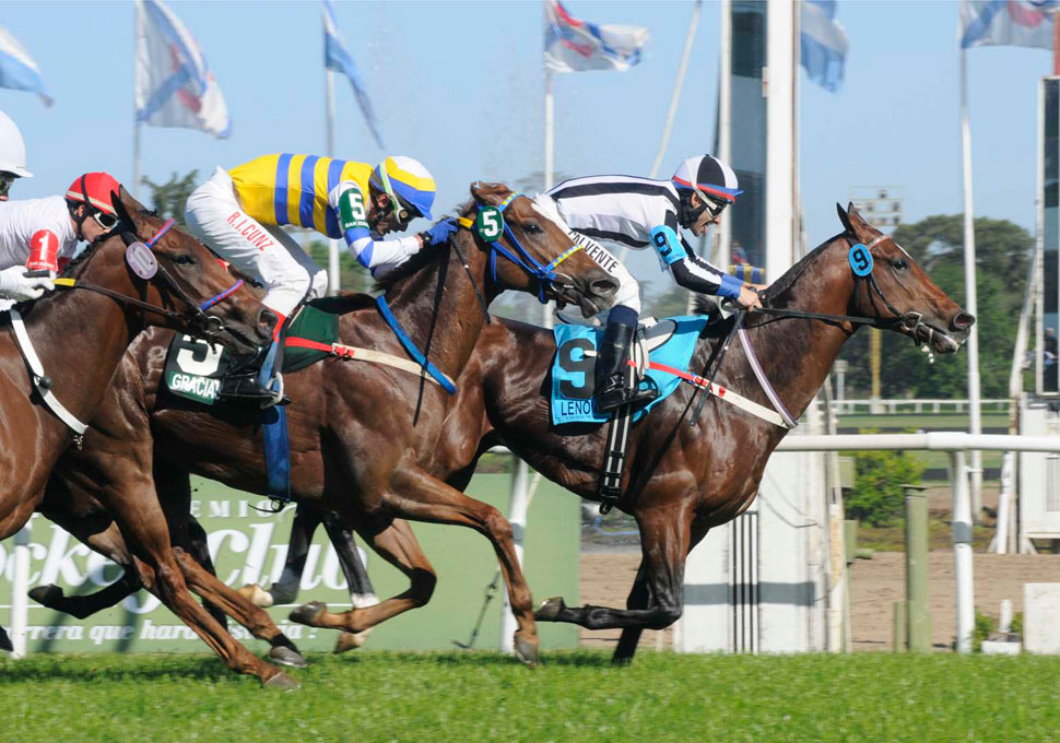 Jockey: jinete de carreras