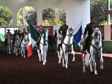 La Escuela de Jinetes de la Casa Pedro Domecq