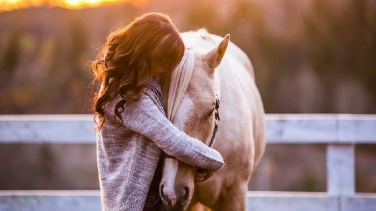Inteligencia Emocional con Caballos