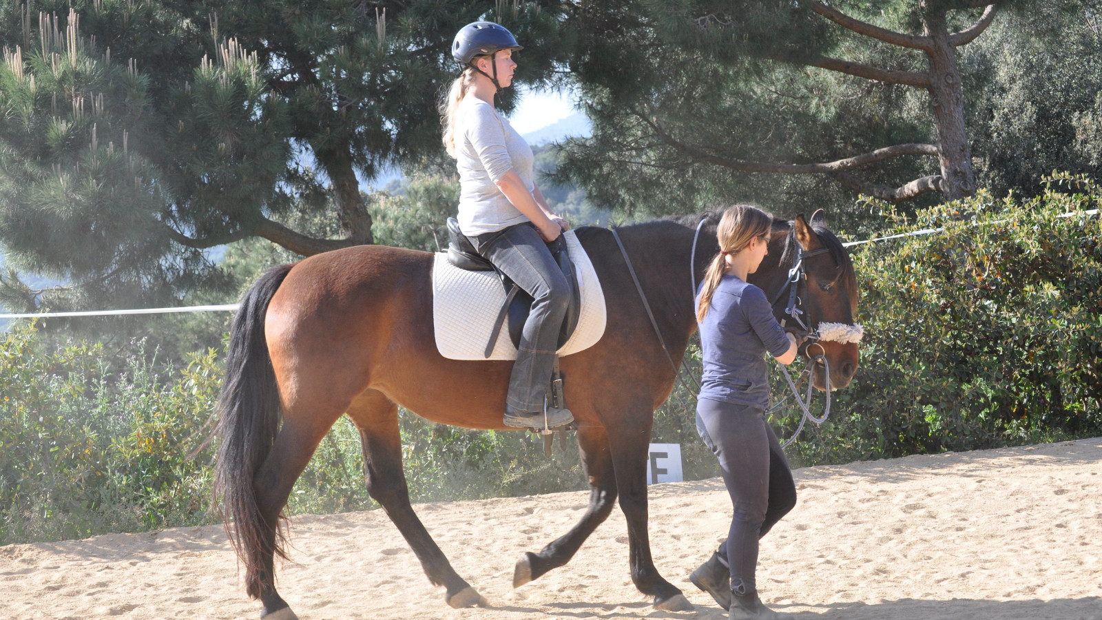 La equitación conectada