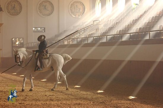 Caballos de la Real Escuela Andaluza  de Arte Ecuestre