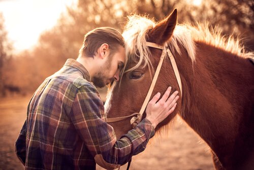 Claves para saber si tu caballo te quiere