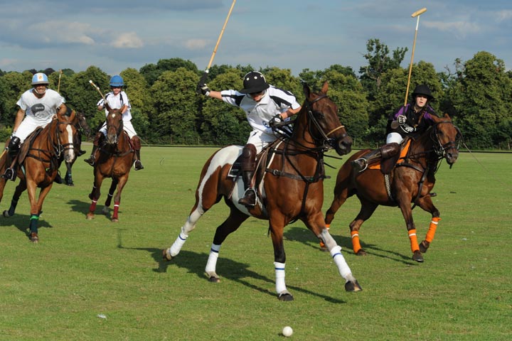 Conociendo el polo ecuestre