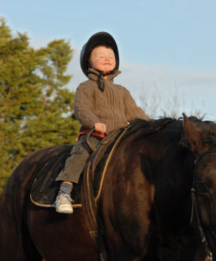 EL  caballo como elemento motivador en el aprendizaje