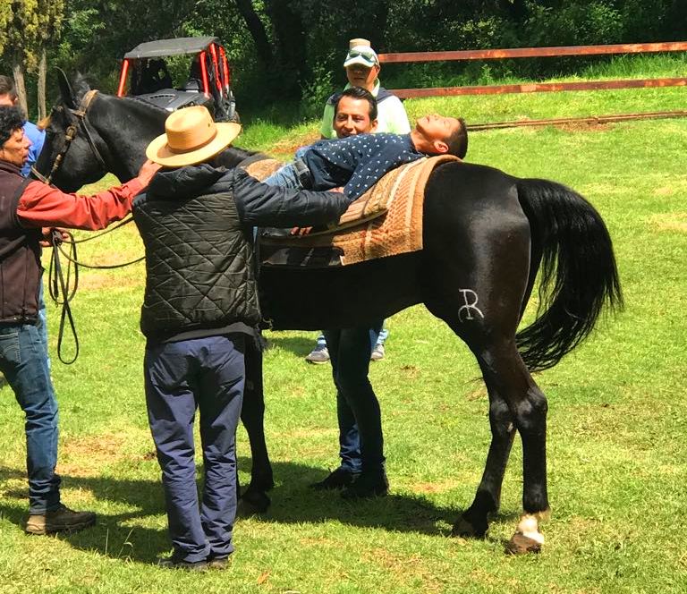 Historia de la equinoterapia