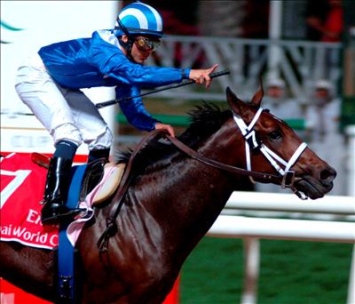 Invasor, el sorprendente caballo argentino