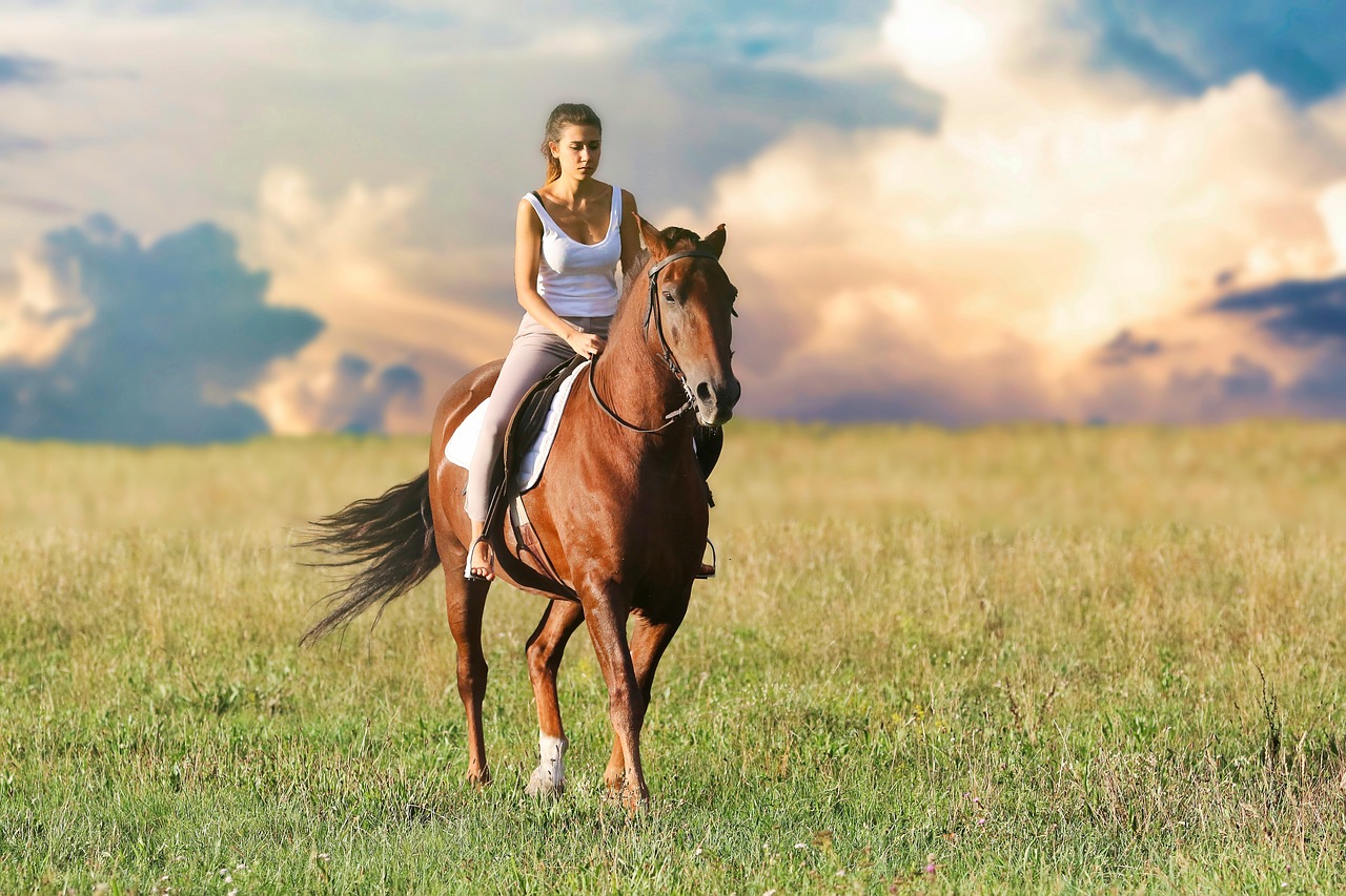 Síntomas de un caballo saludable