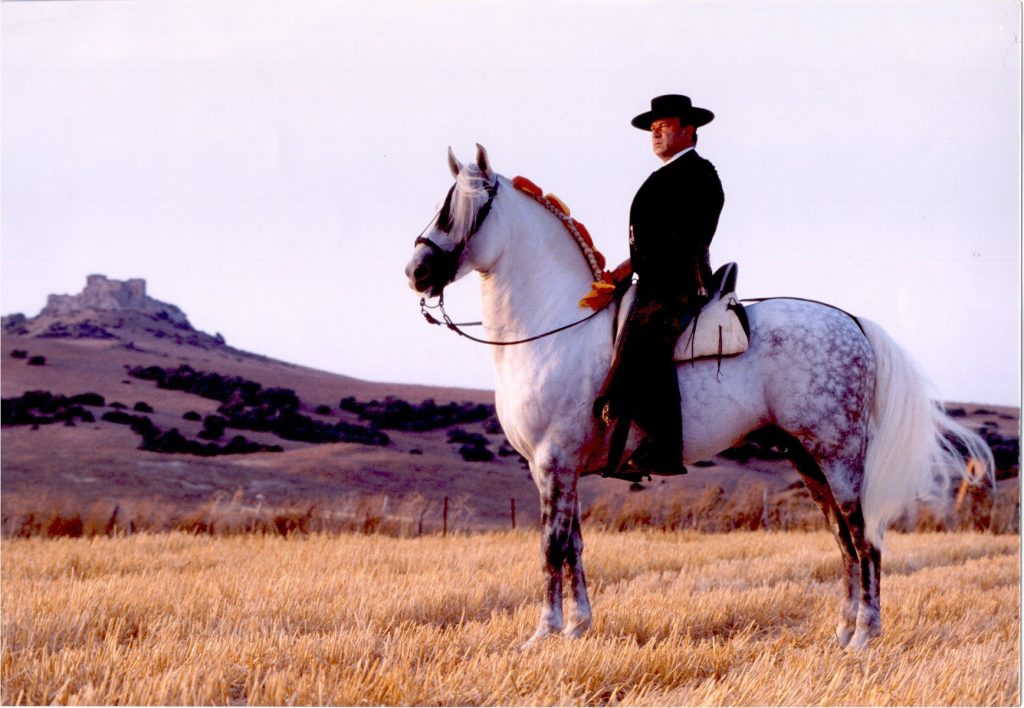 Los caballos y el rejoneo
