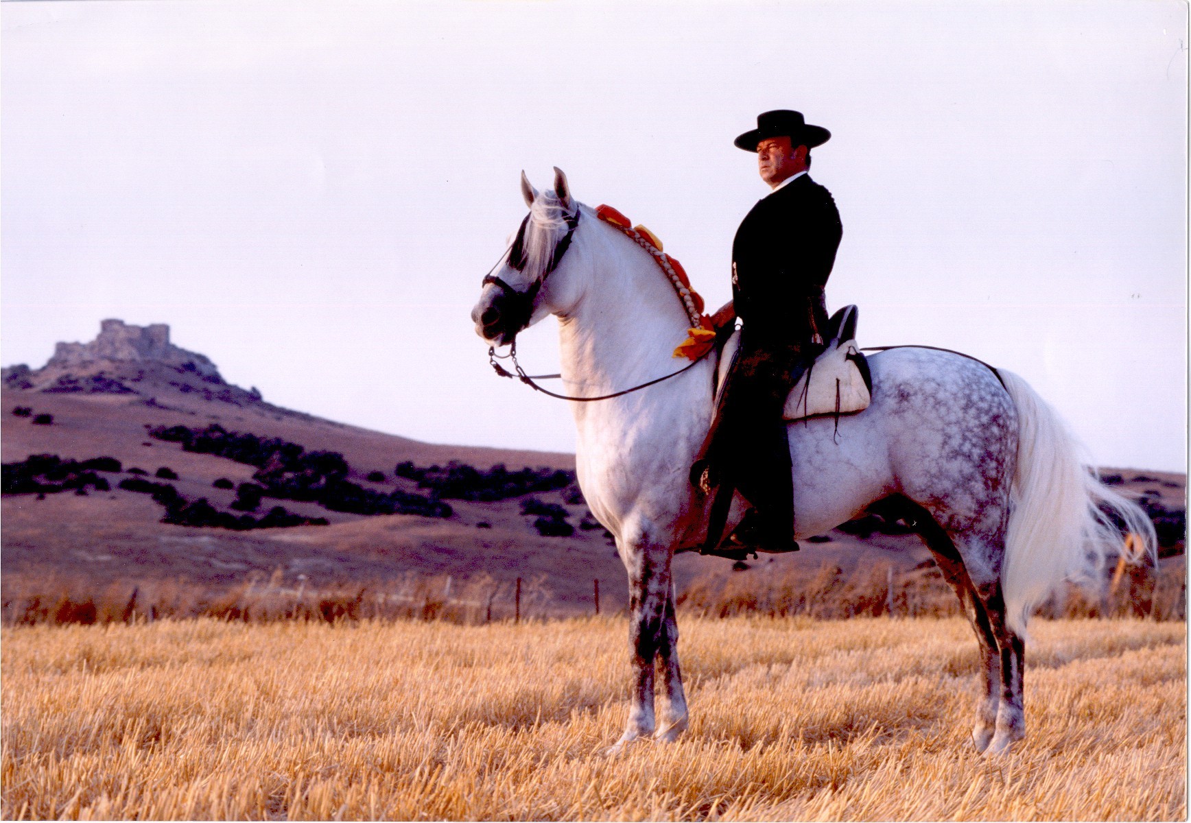 Los caballos y el rejoneo Parte I