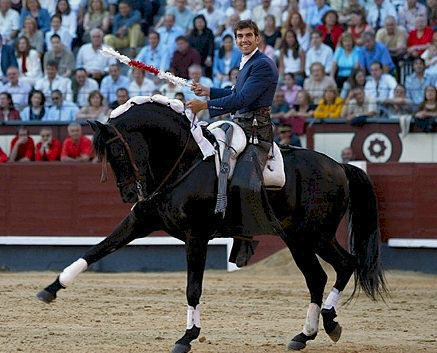 El caballo en el rejoneo