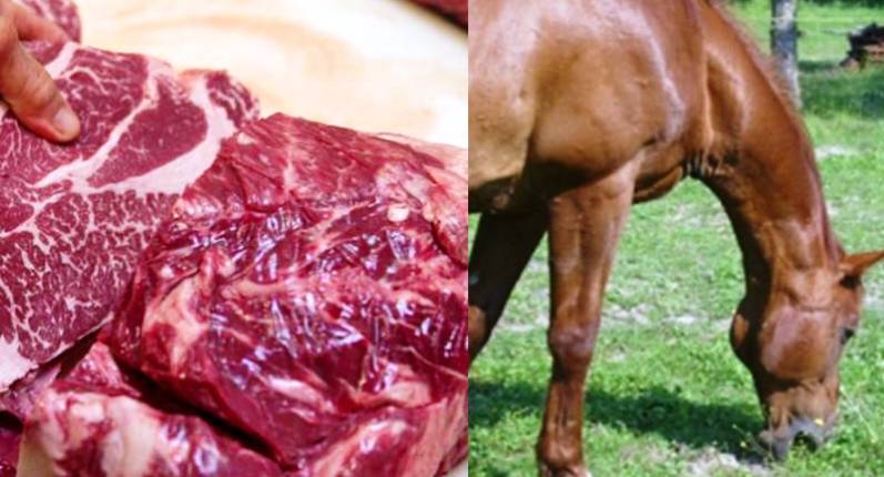 Hipofagia: comer carne de caballo