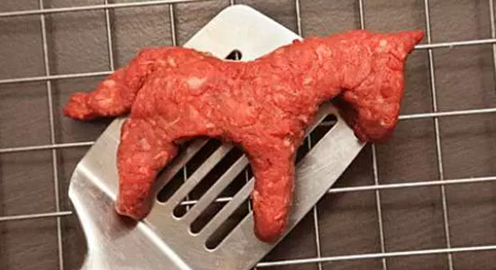 Carne de caballo
